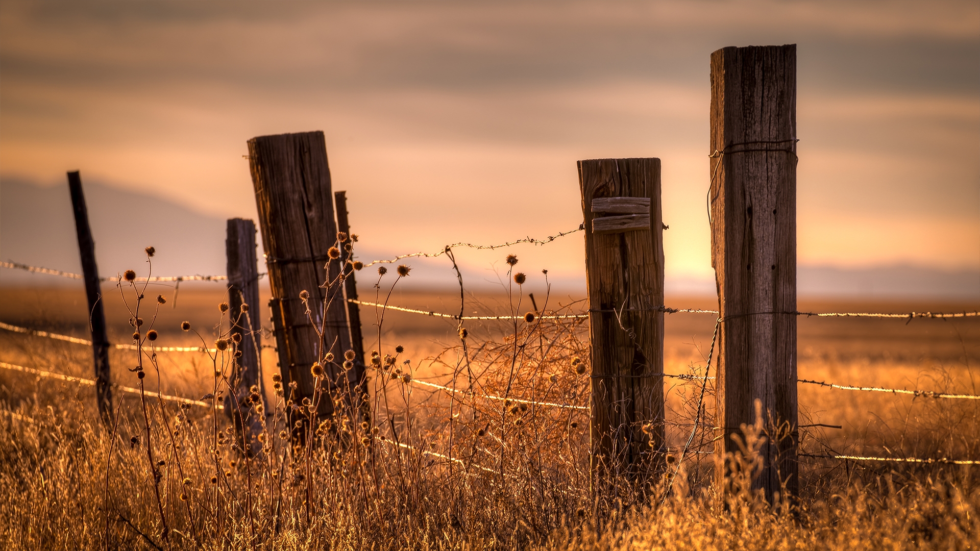 Wooden post barbed wire fence surrounding a field at sunset