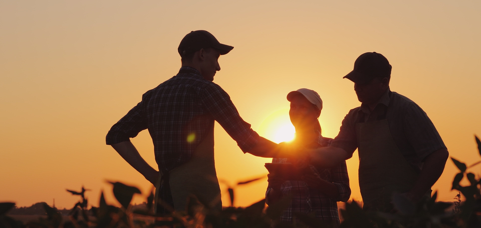 A group of farmers shaking hands in front of a sunset